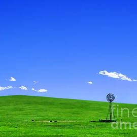 Western Hill  by Olivier Le Queinec