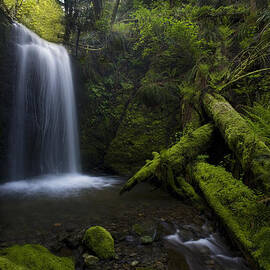 Whatcom Falls Serenity by Mike Reid