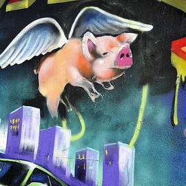 When Pigs Fly