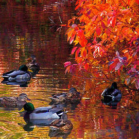 Which Way by Rona Black