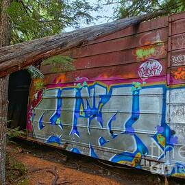 Whistler Train Cars In The Forest by Adam Jewell