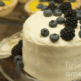 White Frosted Cake with Berries by Juli Scalzi