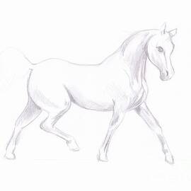 White Horse Sketch