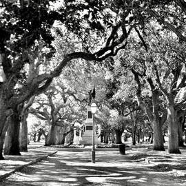 White Point Gardens At Battery Park Charleston SC Black and White