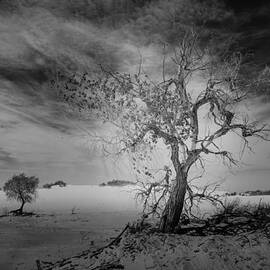White Sands National Monument 1 dark mono by Gareth Burge Photography