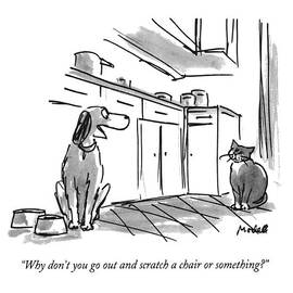 Why Don't You Go Out And Scratch A Chair Or by Frank Modell