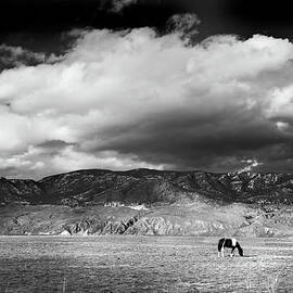 WIDE OPEN SPACES by Theresa Tahara