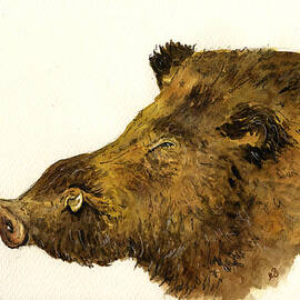 Wild boar head study by Juan  Bosco