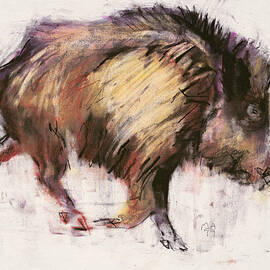 Wild Boar Trotting by Mark Adlington
