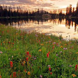 Wildflowers at Clegg Lake. by Wasatch Light