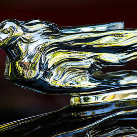 Wind in her Face by Jean Noren