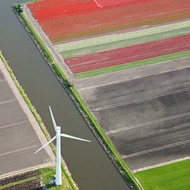 Wind Turbine, Tulip Fields, North by Peter Adams