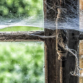 Window Lock and Spider's Web by Georgia Clare