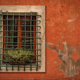 Window of Vernazza Italy DSC02633 by Greg Kluempers