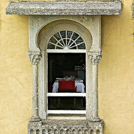 Window with a View by David Letts