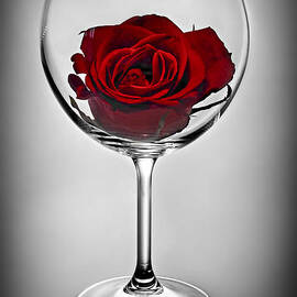 Wine glass with rose