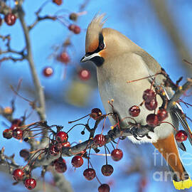 Winter Colors..