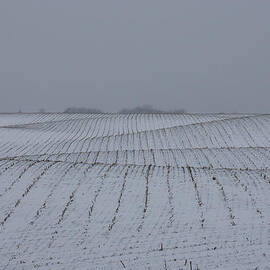 Winter Farm Fields - Rolling Hills on a Bleak Snowy Day by Georgia Mizuleva