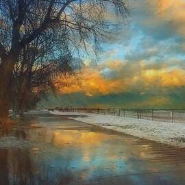 Winter Fenceline by Troy Caperton