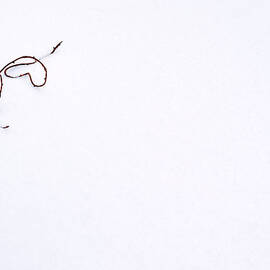 Winter Heart by Jeff Sinon