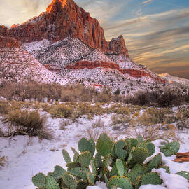 Winter in Zion National park Utah by Douglas Pulsipher