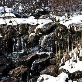 Winter Stream with Cattails