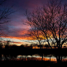 Winter Sunset