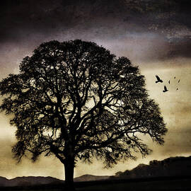 Winter Tree and Ravens by Carol Leigh
