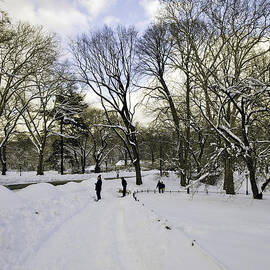Winter Wonderland in Central Park, New York by Madeline Ellis