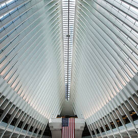 World Trade Center Station by Federico Cella