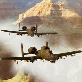 Wrath of the Warthog by Dieter Carlton