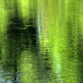 Yamhill River Abstract 24831