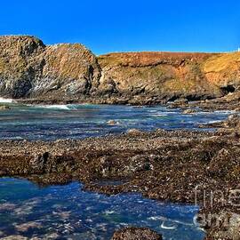 Yaquina Head On The Rocks