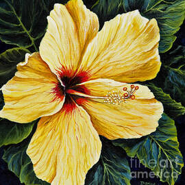 Yellow Hibiscus by Darice Machel McGuire