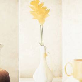 Yellow (triptych) by Delphine Devos
