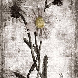 Yesterday's Garden II by Bonnie Bruno