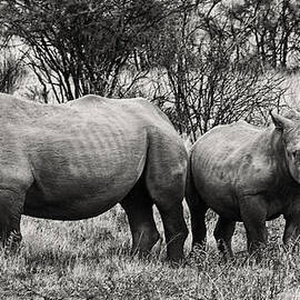 You watch my Back and I will Do the Same for You V2 by Douglas Barnard