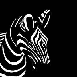 Zebra Black and White