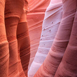 Zebra Canyon by Wasatch Light