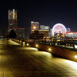 Zou-no-hana Park In Yokohama by Tetsuya Aoki