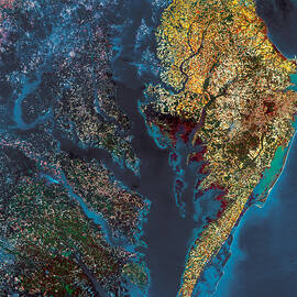 Chesapeake Bay by Science Source