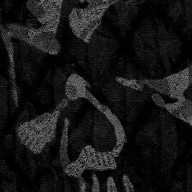 Dark Skull by Roseanne Jones