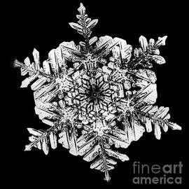 Snowflake by Science Source