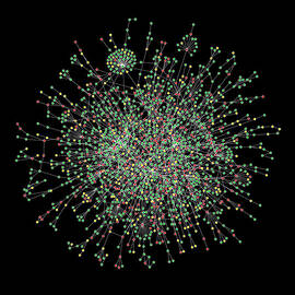 Yeast Protein Interaction Map by Science Photo Library