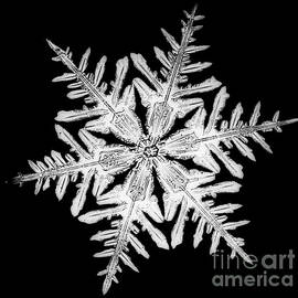 Snowflake by Science Source