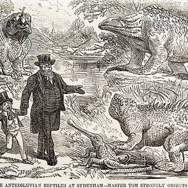 1855 Punch Dinosaurs Crystal Palace by Science Photo Library