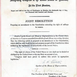 19th Amendment To The U.s. Constitution by Everett