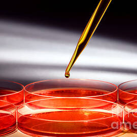 Biotechnology Experiment in Science Research Lab by Science Research Lab