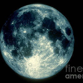 Full Moon by Science Source