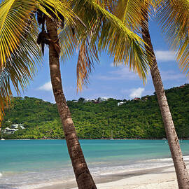 Saint Thomas by Brian Jannsen